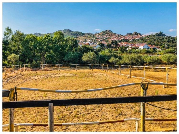 Casa Vinte & Cinco Alojamento Local Penha Garcia Bagian luar foto